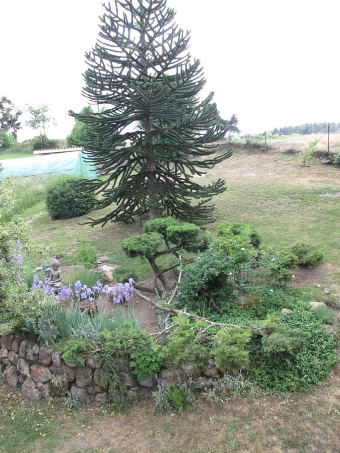Monistrol-sur-Loire Chez Sophie Et Gilles Bed & Breakfast エクステリア 写真