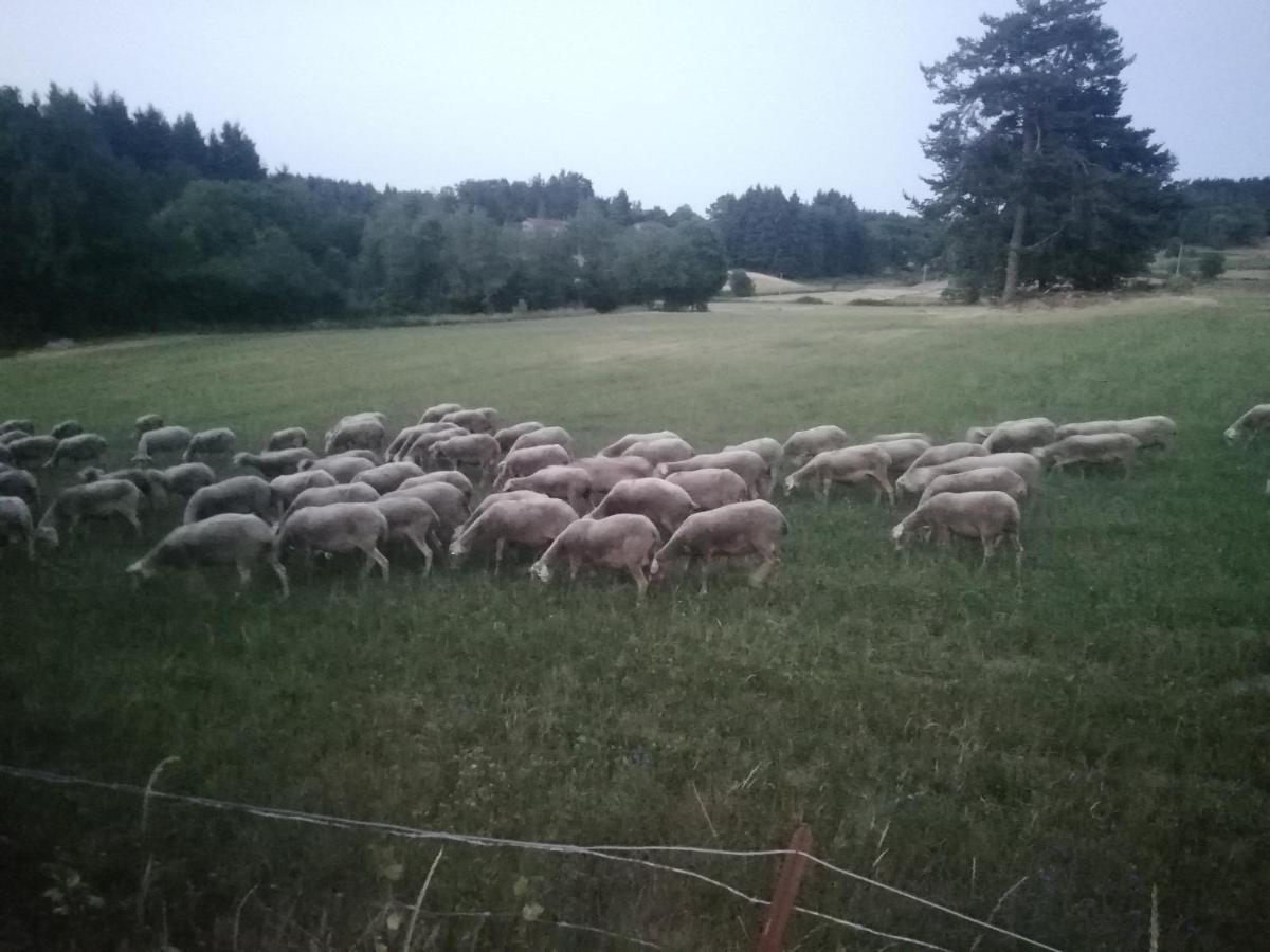Monistrol-sur-Loire Chez Sophie Et Gilles Bed & Breakfast エクステリア 写真